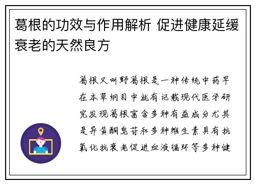葛根的功效与作用解析 促进健康延缓衰老的天然良方